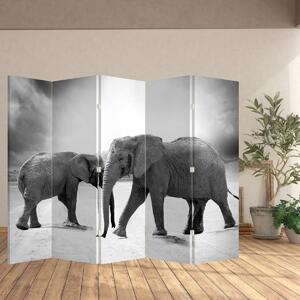 Paraván - Fekete fehér elefántok (210x170 cm)
