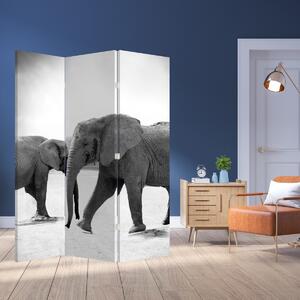 Paraván - Fekete fehér elefántok (126x170 cm)