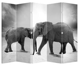 Paraván - Fekete fehér elefántok (210x170 cm)