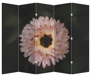 Paraván - Narancsságra virág (225x180 cm)
