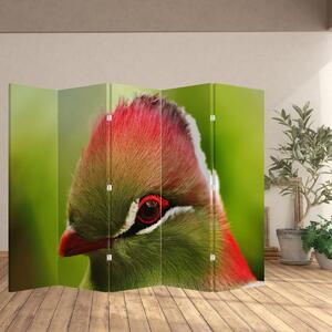 Paraván - Színes madár (210x170 cm)