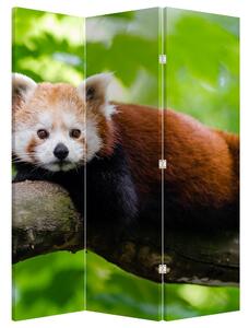 Paraván - Vörös panda (126x170 cm)