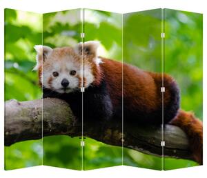 Paraván - Vörös panda (210x170 cm)