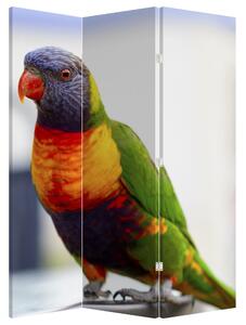 Paraván - Papagáj (135x180 cm)