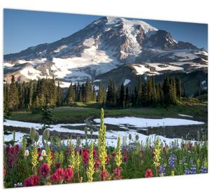 Kép - Mount Rainier (70x50 cm)
