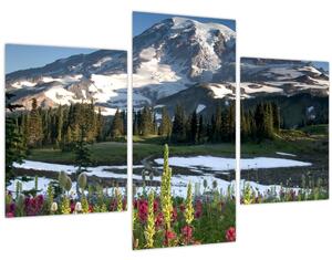 Kép - Mount Rainier (90x60 cm)