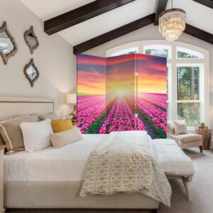 Paraván - Tulipán mező és a nap (126x170 cm)