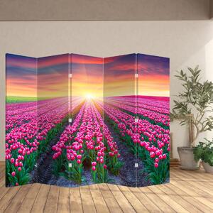 Paraván - Tulipán mező és a nap (210x170 cm)