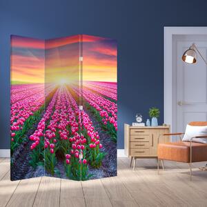 Paraván - Tulipán mező és a nap (126x170 cm)