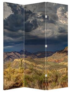 Paraván - kaktuszok a természetben (126x170 cm)