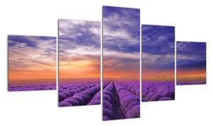 Modern kép - vidékek (125x70cm)