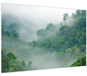 Kép - Reggeli köd (90x60 cm)