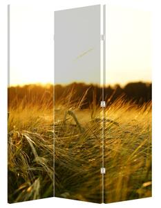 Paraván - Harmatos fű (126x170 cm)
