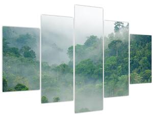 Kép - Reggeli köd (150x105 cm)