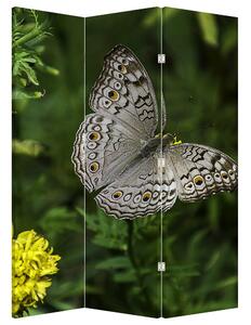 Paraván - Fehér pillangó (126x170 cm)