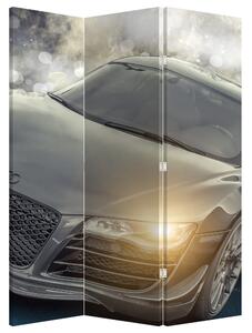 Paraván - Audi autó képe - szürke (126x170 cm)