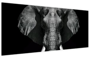 Kép - Elefánt fekete háttérrel (120x50 cm)