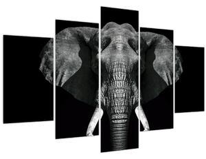 Kép - Elefánt fekete háttérrel (150x105 cm)