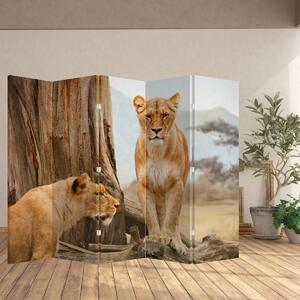 Paraván - két oroszlán (210x170 cm)