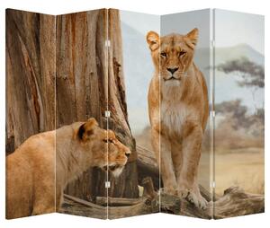 Paraván - két oroszlán (210x170 cm)