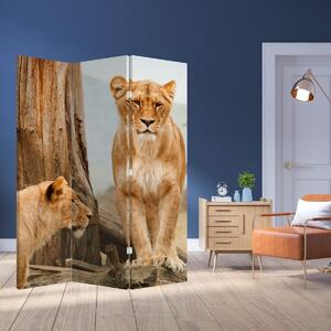 Paraván - két oroszlán (126x170 cm)