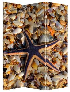 Paraván - tengeri csillag (126x170 cm)