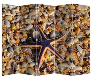 Paraván - tengeri csillag (210x170 cm)