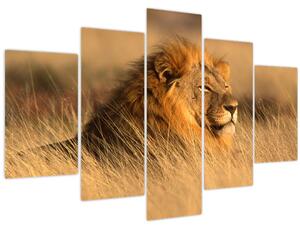 Kép - Etosha Nemzeti Park (150x105 cm)