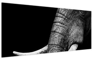 Kép - Elefánt agyar (120x50 cm)