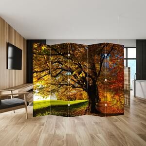 Paraván - őszi fa (210x170 cm)