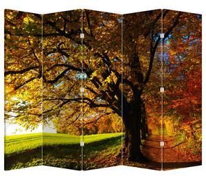 Paraván - ősz (210x170 cm)