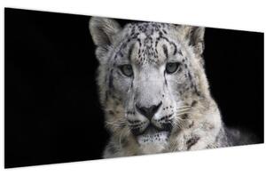 Kép - Snow Leopard (120x50 cm)