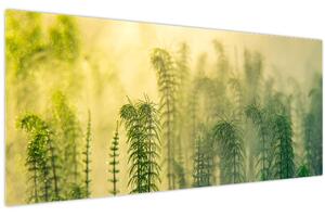 Kép - Részlet a tavaszi ködös természetből (120x50 cm)