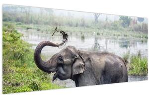 Kép - Fürdőző elefánt (120x50 cm)