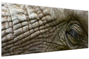 Kép - Közelkép az öreg elefánt szeméről (120x50 cm)