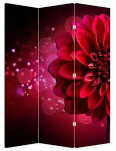 Paraván - Piros virágok (126x170 cm)