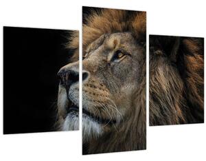 Kép - A fenséges oroszlán (90x60 cm)