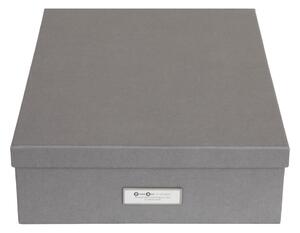 Jakob szürke doboz 12 rekesszel, 31 x 43 cm - Bigso Box of Sweden
