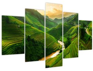 Kép - Mu Cang Chai rizsteraszok (150x105 cm)