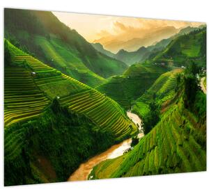 Kép - Mu Cang Chai rizsteraszok (70x50 cm)