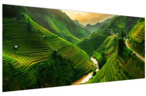 Kép - Mu Cang Chai rizsteraszok (120x50 cm)