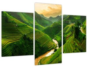 Kép - Mu Cang Chai rizsteraszok (90x60 cm)