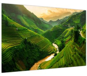 Kép - Mu Cang Chai rizsteraszok (90x60 cm)