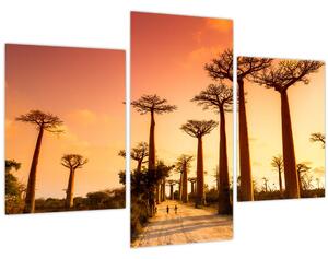 Kép - Naplemente a Baobab Alley-ben (90x60 cm)