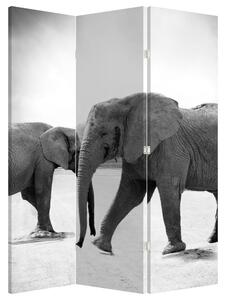 Paraván - Elefántok (126x170 cm)