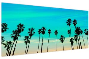 Kép - Kalifornia (120x50 cm)