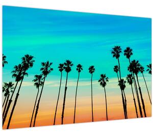 Kép - Kalifornia (90x60 cm)