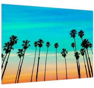 Kép - Kalifornia (70x50 cm)