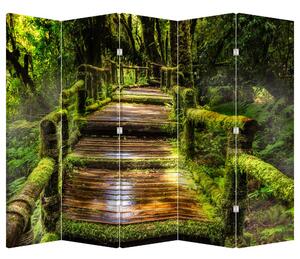 Paraván - Lépcső az esőerdőben (210x170 cm)