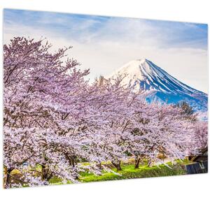 Kép - Japán tavasszal (70x50 cm)
